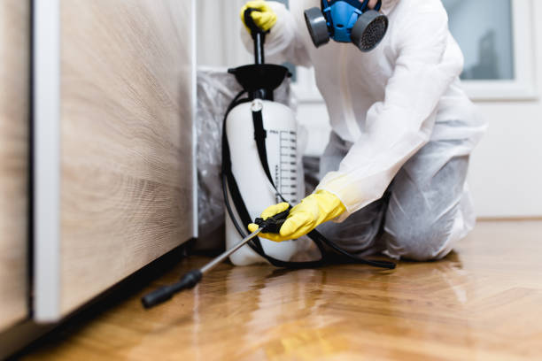 Best Pest Prevention Services  in Swannanoa, NC