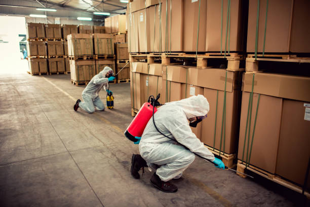 Best Mosquito Control Services  in Swannanoa, NC