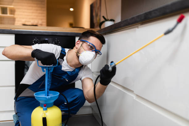 Best Best Pest Control Companies  in Swannanoa, NC