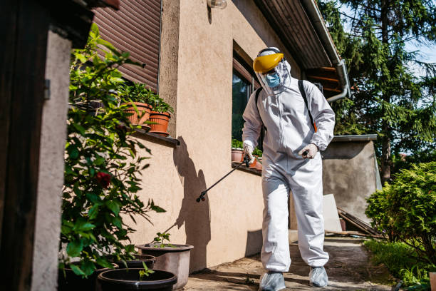 Best Termite Control Services  in Swannanoa, NC