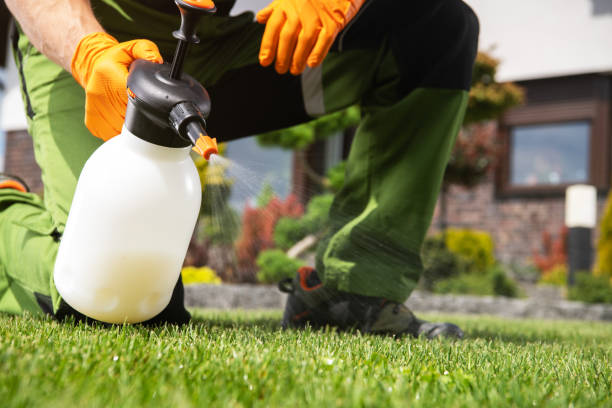 Best Bird Control  in Swannanoa, NC