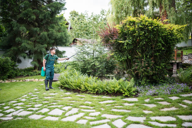 Best Pest Removal Services  in Swannanoa, NC