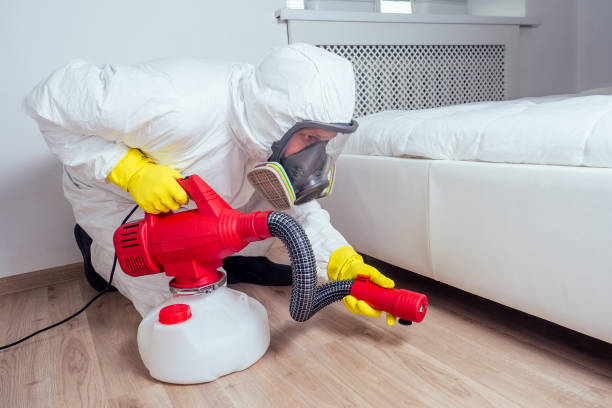 Best Pest Control for Homes  in Swannanoa, NC