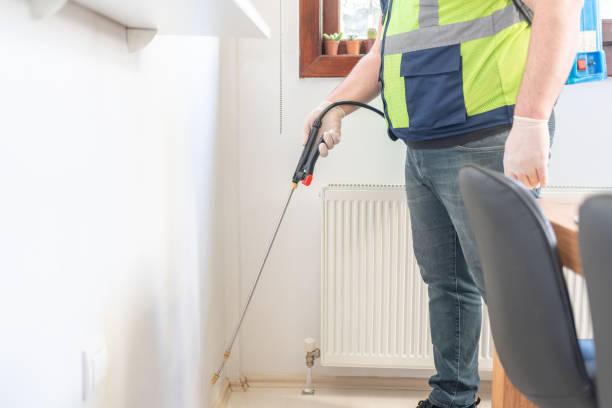 Best Cockroach Control Services  in Swannanoa, NC