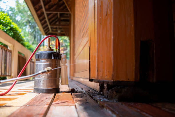 Best Cockroach Control Services  in Swannanoa, NC