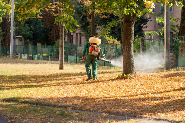 Professional Pest Control in Swannanoa, NC