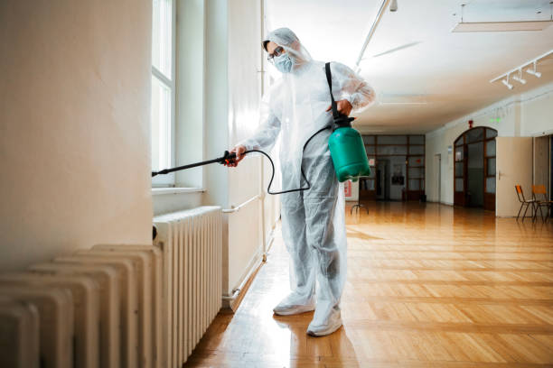 Best Wasp Removal Services  in Swannanoa, NC